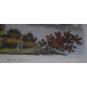 Coloured engraving ‘View of Geneva’ by Moinat SA – Antiques and decorative items – Engravings, lithographs