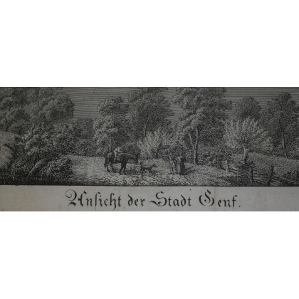 Engraving ‘Ansicht der Stadt Genf’ by Moinat SA – Antiques and decorative items – Engravings, lithographs