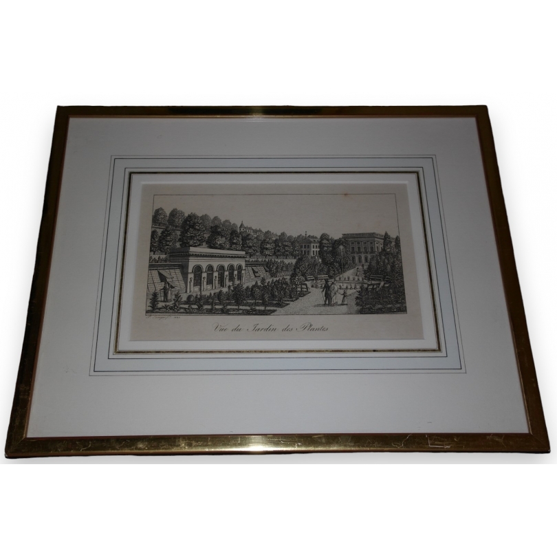 Gravure "Vue du Jardin des Plantes,
