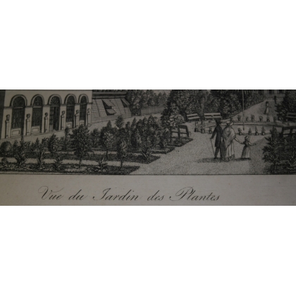 Engraving: ‘View of the Jardin des Plantes’, by Moinat SA – Antiques and decorative items – Engravings, lithographs