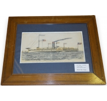 Pélican en argent 800