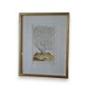 Gravure oiseaux "Der Weisse Pfau" par  sur Moinat SA  - Antiquités décoration -  Gravures, Lithos