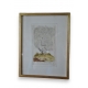 Gravure oiseaux "Der Weisse Pfau" par