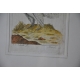 Bureau plat NECKER style Louis XVI