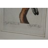 Engraving of birds: ‘Der Curucu, mit dem’ by Moinat SA – Antiques and decorative items – Engravings, lithographs