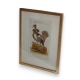 Gravure oiseau "Das Kragenhuhn"