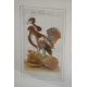 Coq en bronze de BAG Türgi
