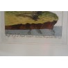 Bird engraving ‘Die Rothe Gans’, by Moinat SA – Antiques and decorative items – Engravings, lithographs