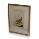 Gravure oiseaux "Das Haselhuhn von