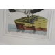 Gravure oiseau '' Die rothhals Gans''
