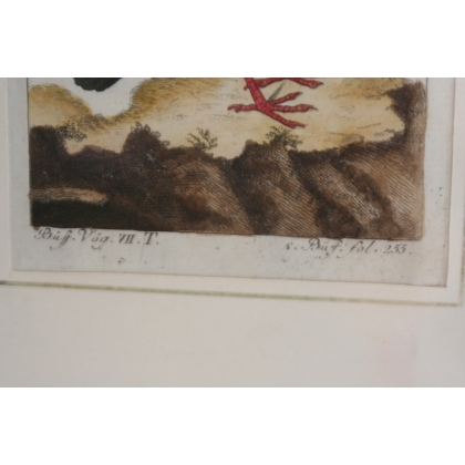 Bird engraving "Die Steindoble" by Moinat SA – Antiques and home décor – Engravings, lithographs