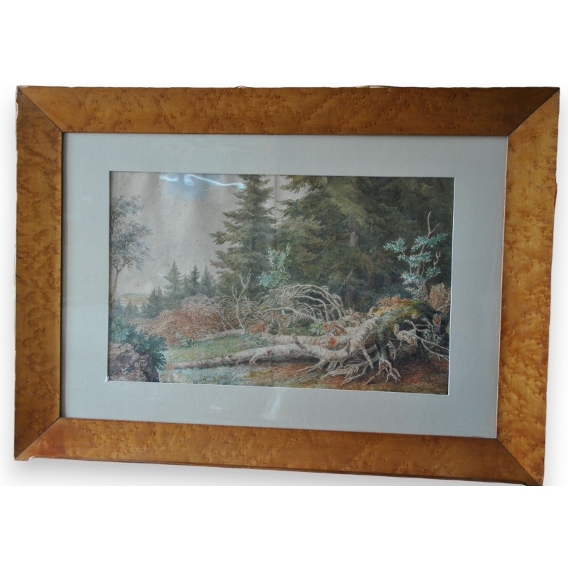 Aquarelle "Forêt" de Suzanne EYNARD,  sur Moinat SA  - Antiquités décoration -  Gouaches, Aquarelles, Pastels