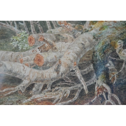 Aquarelle "Forêt" de Suzanne EYNARD,  sur Moinat SA  - Antiquités décoration -  Gouaches, Aquarelles, Pastels