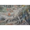 Aquarelle "Forêt" de Suzanne EYNARD,  sur Moinat SA  - Antiquités décoration -  Gouaches, Aquarelles, Pastels