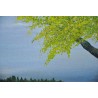 Paintings | Oil on canvas "Landscape, Moinat SA meadow" – Antiques and home décor