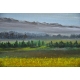 Huile sur toile "Paysage, prairie