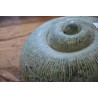 Bronze Escargot moyen patine verte