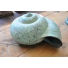 Bronze Escargot moyen patine verte