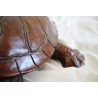  Tortue de mer en bois sculpté sur  Moinat SA  - Antiquités décoration
