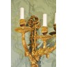  Paire d'appliques style Louis XVI en sur  Moinat SA  - Antiquités décoration