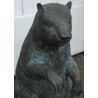 Castor en bronze