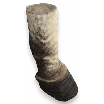 Sabot de zèbre