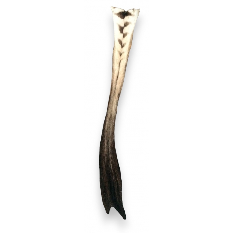 Zebra tail at  Moinat SA  - Antiques and home décor