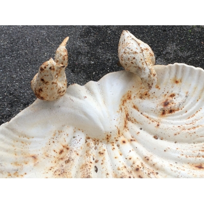  Bain d'oiseau en forme de coquillage, crème sur  Moinat SA  - Antiquités décoration