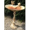  Bain d'oiseau en forme de coquillage, crème sur  Moinat SA  - Antiquités décoration