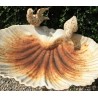  Bain d'oiseau en forme de coquillage, crème sur  Moinat SA  - Antiquités décoration