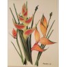 "Heliconia" floral watercolour, signed, by Moinat SA – Antiques and decorative items – Gouaches, watercolours, pastels