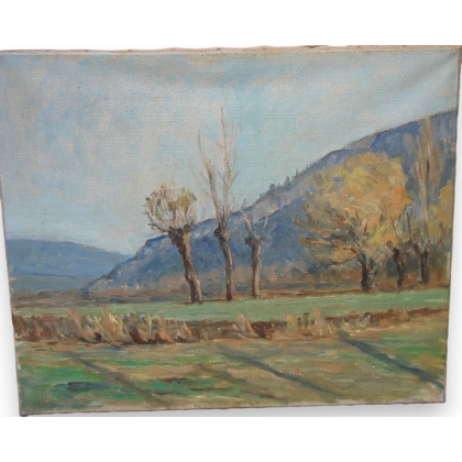 Huile sur toile Suisse \"Sous Gaillard