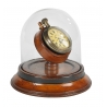 Montre Gousset sur socle, sous une cloche