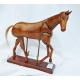Grand Cheval en bois, Modèle d'artiste