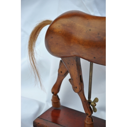 Grand Cheval en bois, Modèle d\'artiste