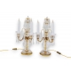Paire de Girandoles en cristal