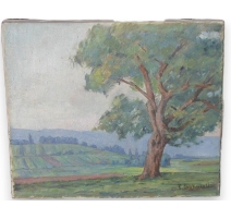 Huile sur toile Suisse "Collines du