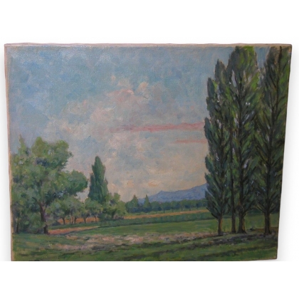 Huile sur toile Suisse \"Environs de
