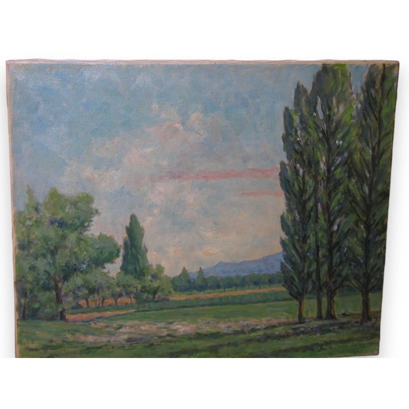 Paintings | Swiss oil on canvas "The Moinat Area" – Antiques and home décor