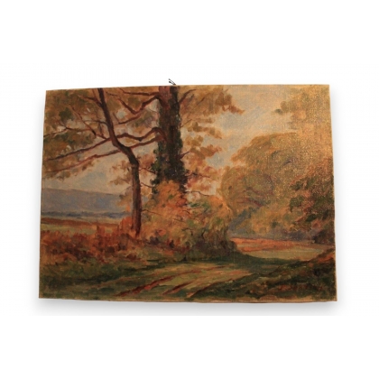 Huile sur toile \"Campagne Genevoise\"