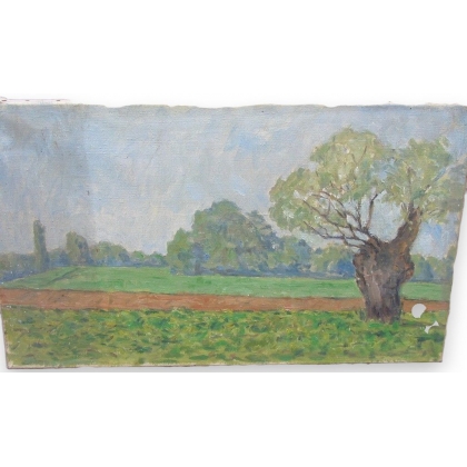 Huile sur toile Suisse \"Campagne