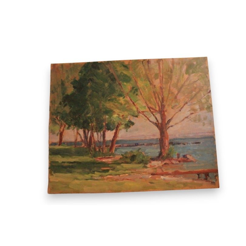 Paintings | Oil on panel ‘Lakeside at Mies’ Moinat SA  – Antiques and home décor