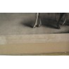 English engraving on ‘Bonaparte’ paper by Moinat SA – Antiques and decorative items – Engravings, lithographs