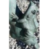 Fontaine "Enfant et grenouille" en sur  Moinat SA  - Antiquités décoration