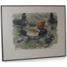 Engraving on "Nette rousse" paper, by Moinat SA – Antiques and decorative items – Engravings, lithographs