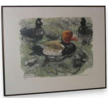Gravure "Nette rousse" signée HAINARD