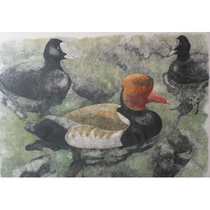 Engraving on "Nette rousse" paper, by Moinat SA – Antiques and decorative items – Engravings, lithographs