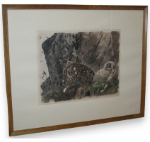 Gravure sur papier "Grand-duc et poussin"