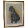  Dessin original "Chien, caniche noir", sur  Moinat SA  - Antiquités décoration