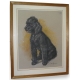 Dessin original "Chien, caniche noir",